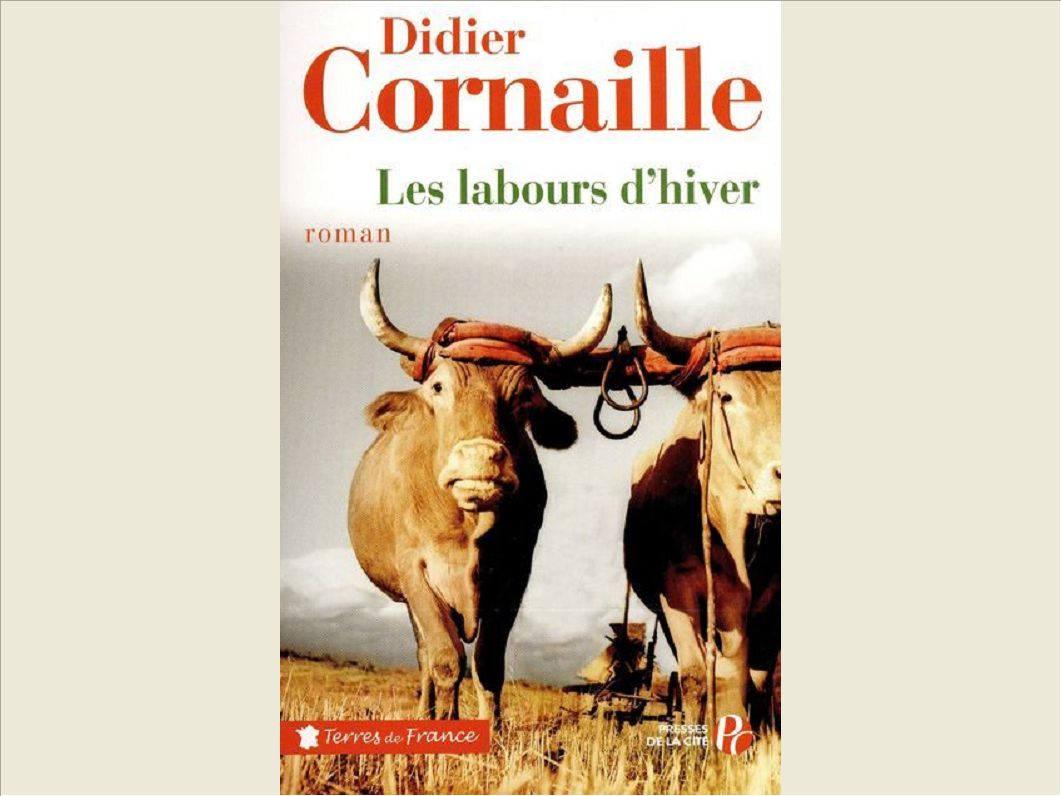 LABOURS D'HIVER (TF)