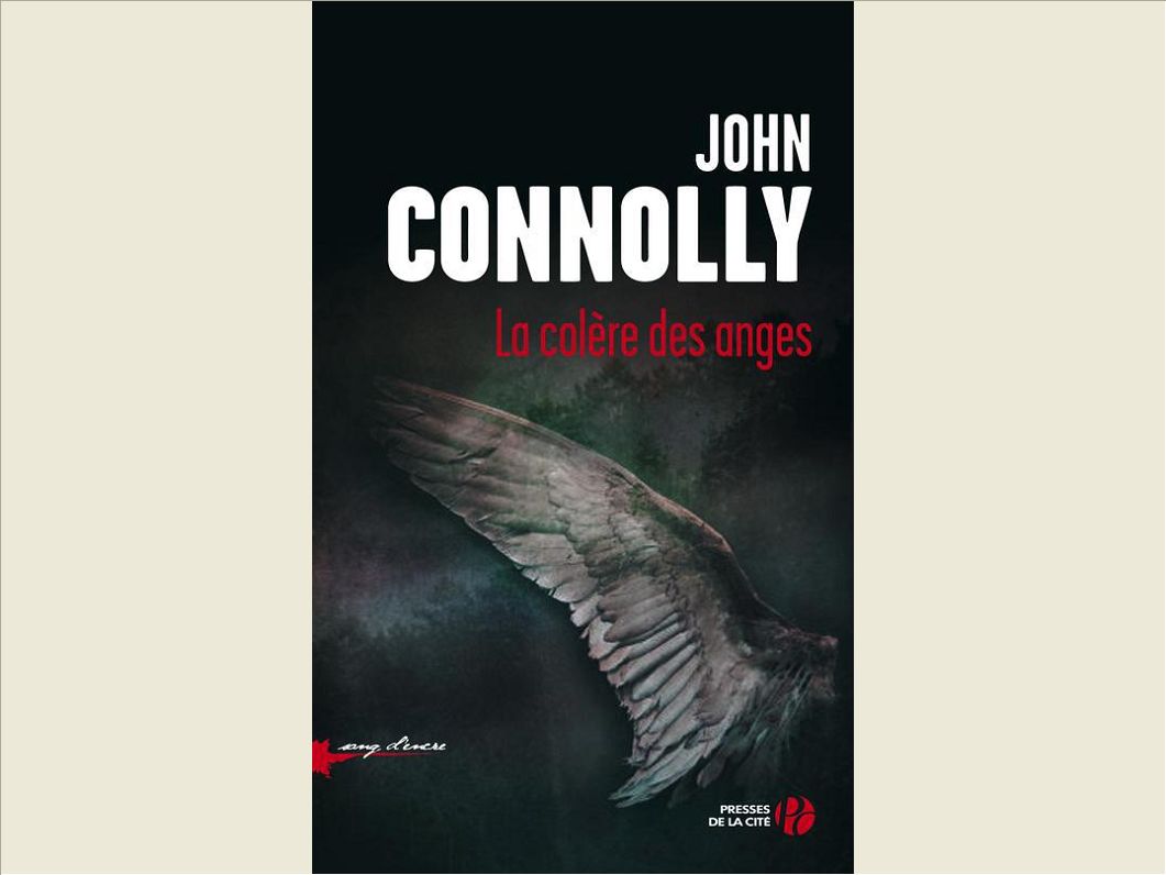 LA COLERE DES ANGES