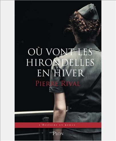 OU VONT LES HIRONDELLES EN HIVER