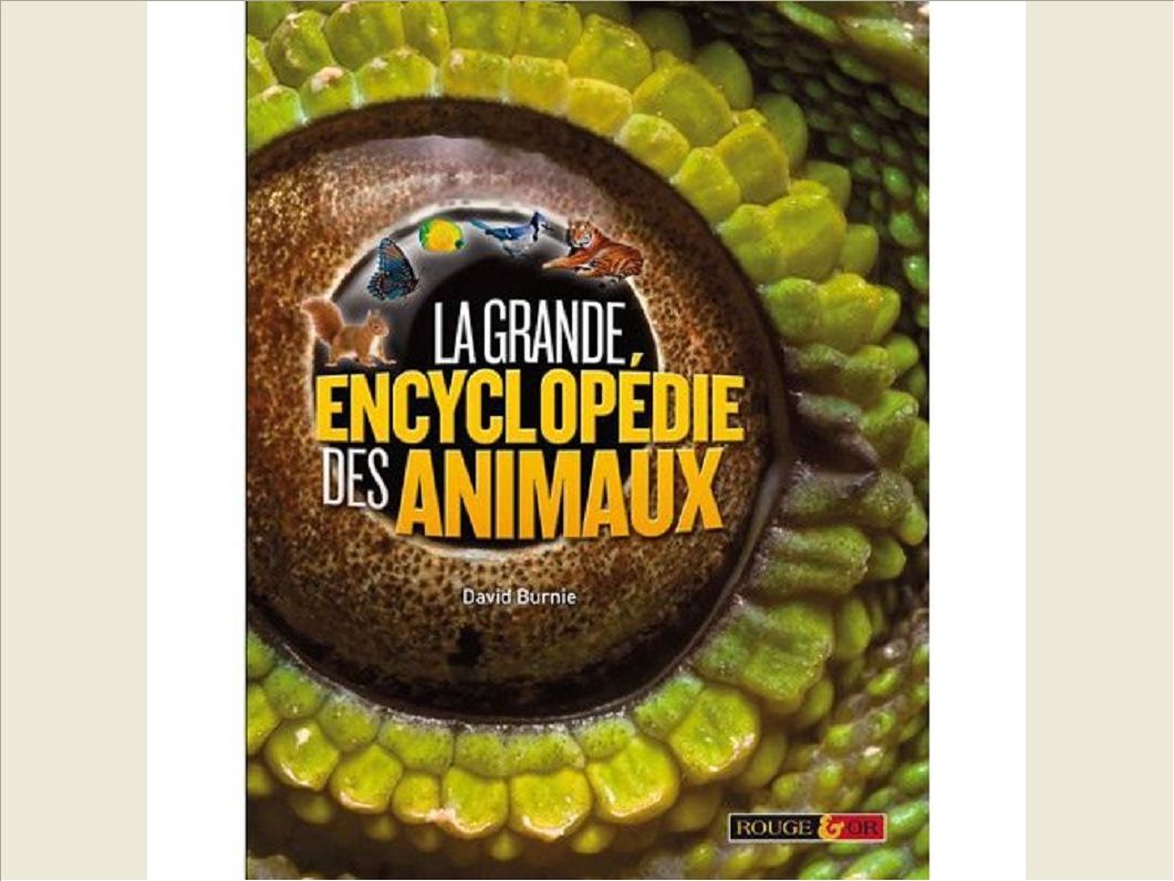 LA GRANDE ENCYCLOPEDIE DES ANIMAUX