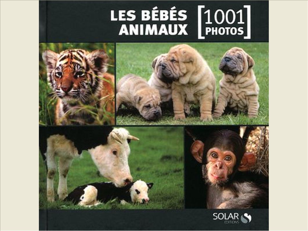 LES BEBES ANIMAUX EN 1001 PHOTOS - NE