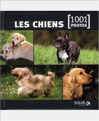 LES CHIENS EN 1001 PHOTOS - NED -