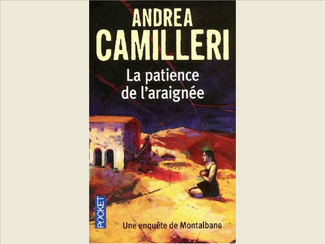 LA PATIENCE DE L'ARAIGNEE