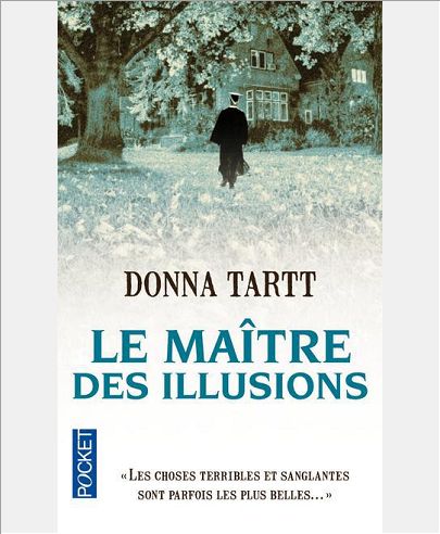 LE MAITRE DES ILLUSIONS