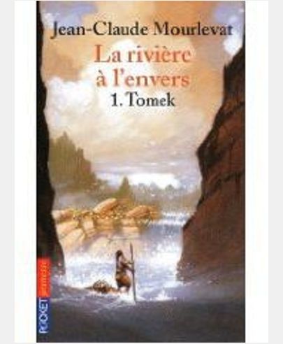 LA RIVIERE A L'ENVERS - TOME 1 TOMEK - VOL01
