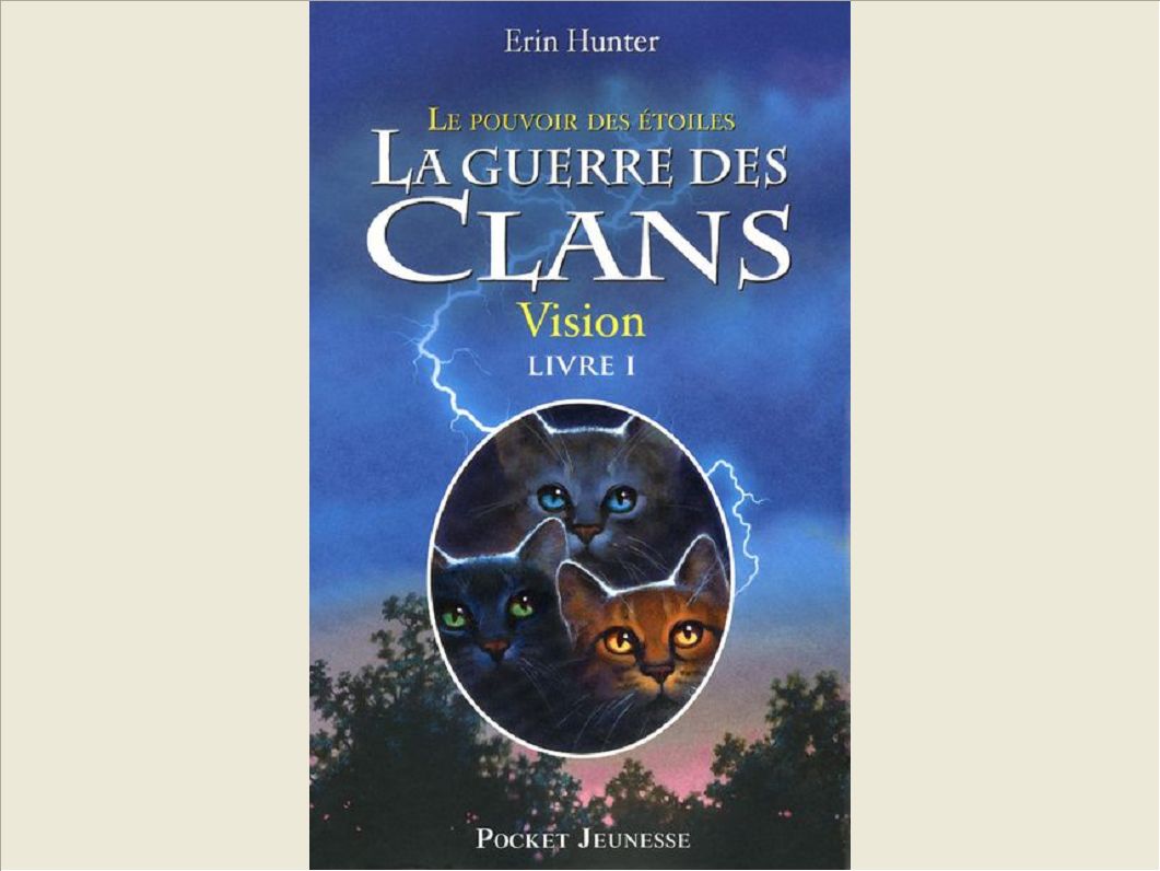 LA GUERRE DES CLANS CYCLE III LE POUVOIR DES ETOILES - TOME 1 VISION - VOL01