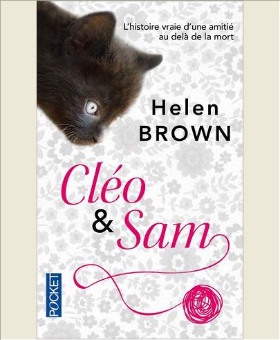 CLEO & SAM