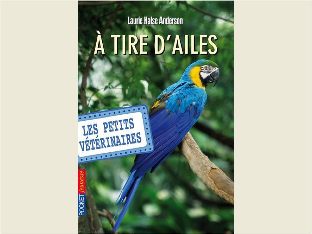 LES PETITS VETERINAIRES - NUMERO 10 A TIRE-D'AILE - VOL10