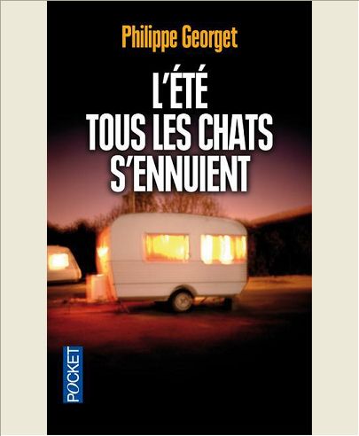 L'ETE TOUS LES CHATS S'ENNUIENT