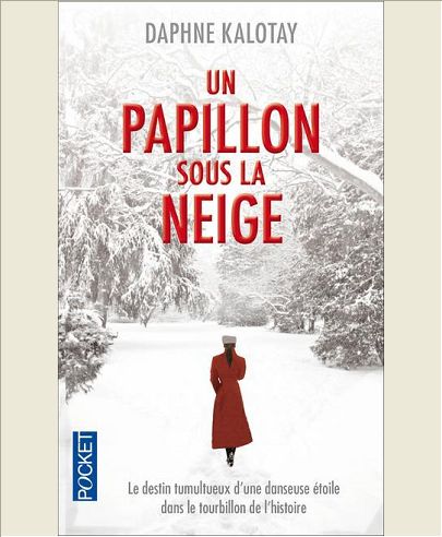 UN PAPILLON SOUS LA NEIGE