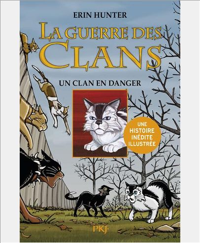 ROMANS CONTES - LA GUERRE DES CLANS CYCLE II - TOME 2 UN CLAN EN DANGER - VERSION ILLUSTREE - VOL02