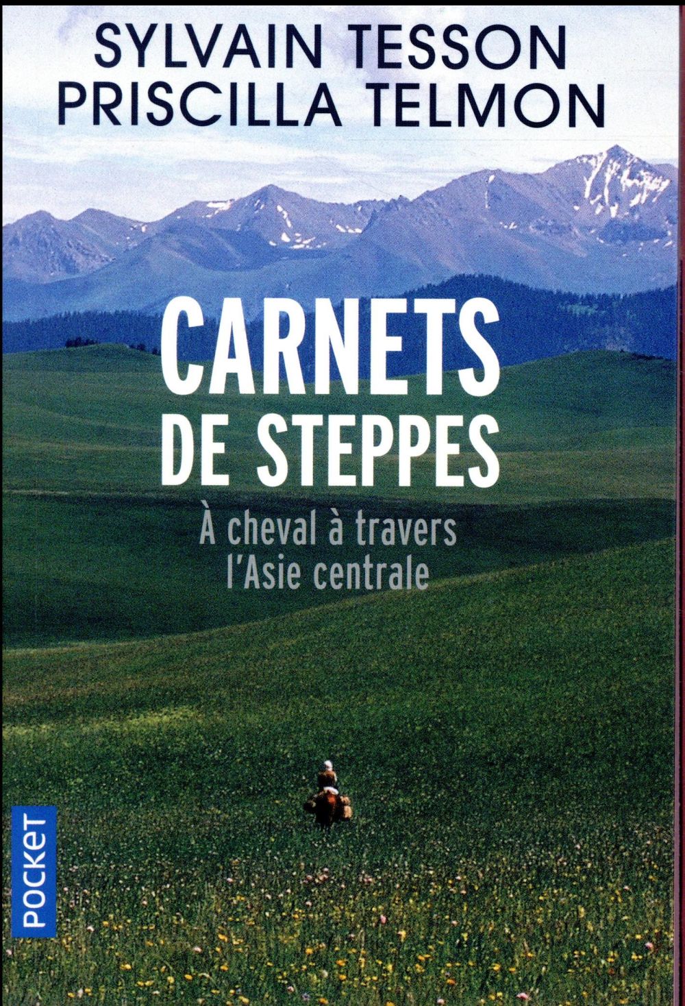 CARNETS DE STEPPES