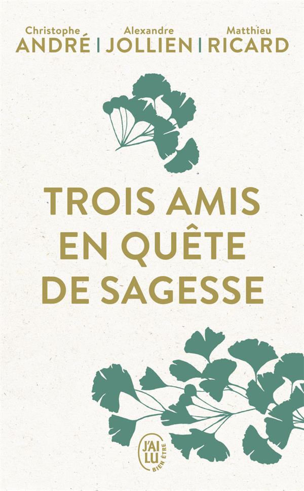 TROIS AMIS EN QUETE DE SAGESSE