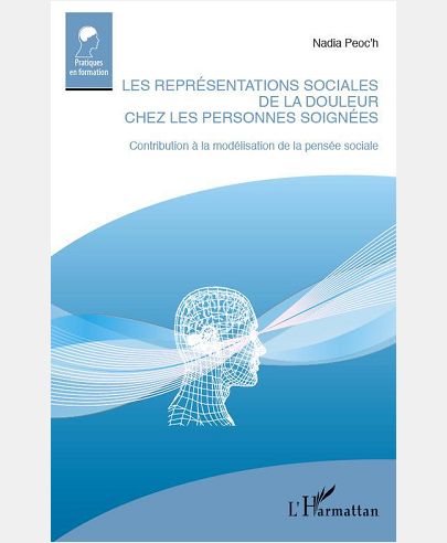 LES REPRESENTATIONS DE LA DOULEUR CHEZ LES PERSONNES SOIGNEES - CONTRIBUTION A LA MODELISATION DE LA