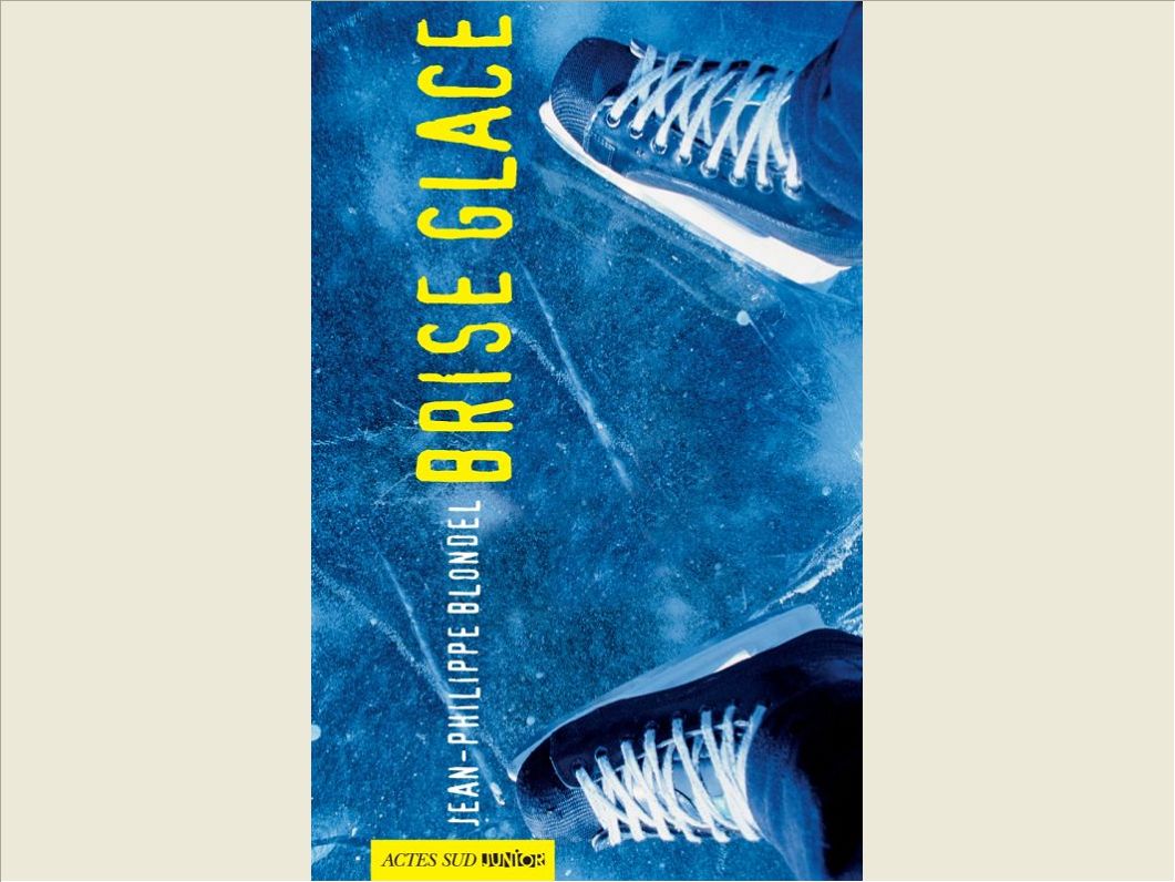 BRISE GLACE