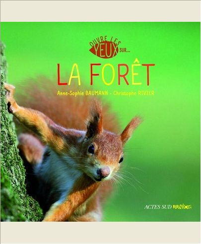 OUVRE LES YEUX SUR LA FORET
