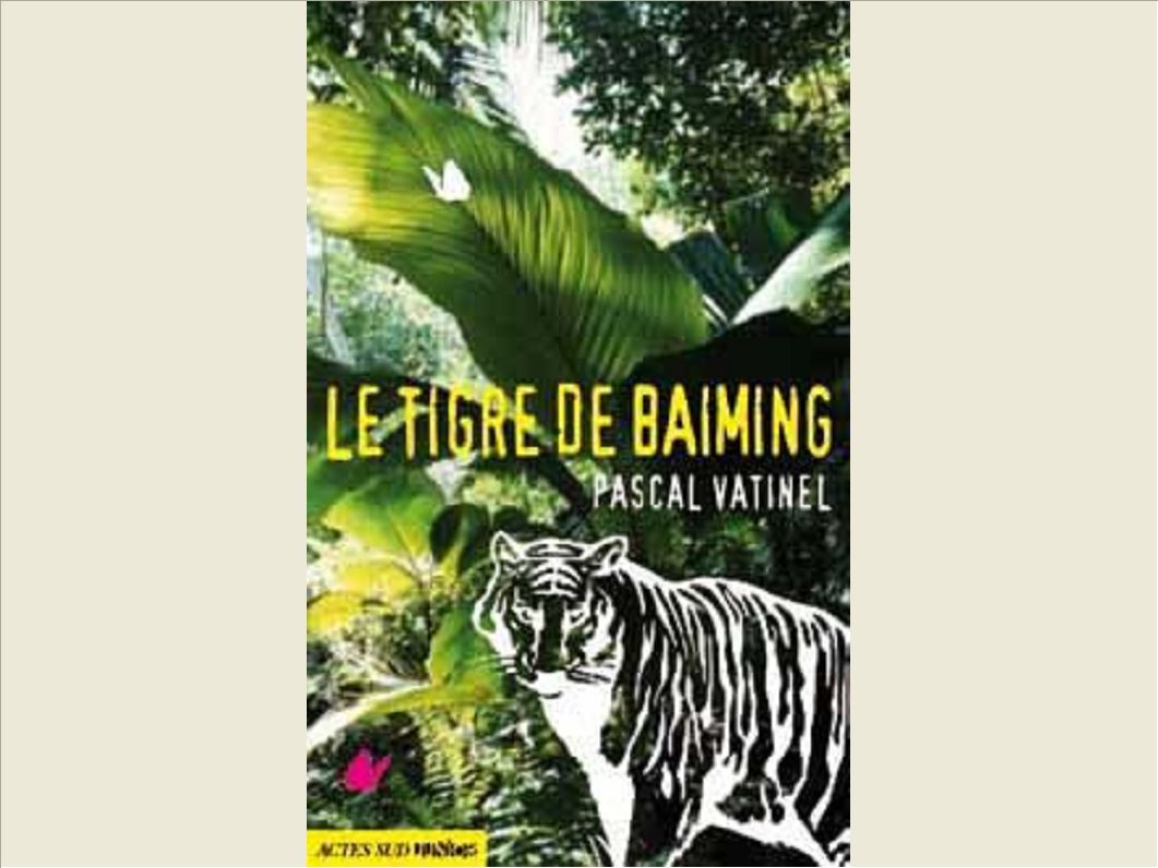 LE TIGRE DE BAIMING_1ERE_ED (FERMETURE ET BASCULE SUR LE 9782330057312)