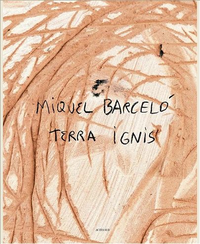 TERRA IGNIS