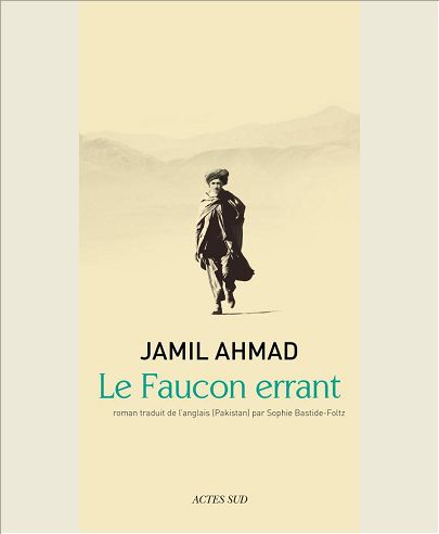 LE FAUCON ERRANT