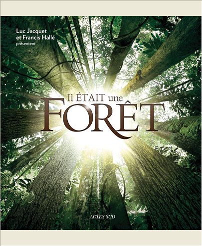 IL ETAIT UNE FORET