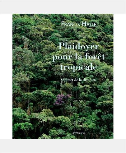 PLAIDOYER POUR LA FORET TROPICALE - SOMMET DE LA DIVERSITE
