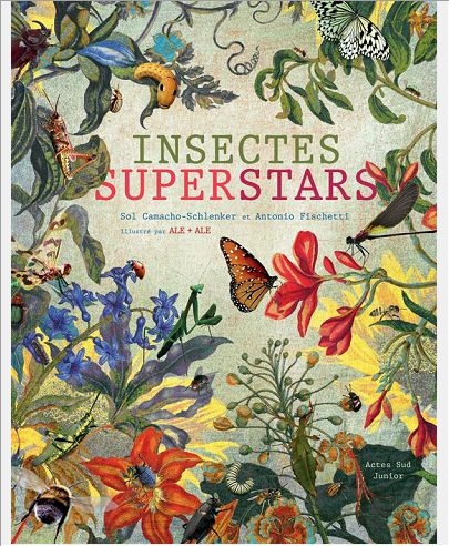 INSECTES SUPERSTARS