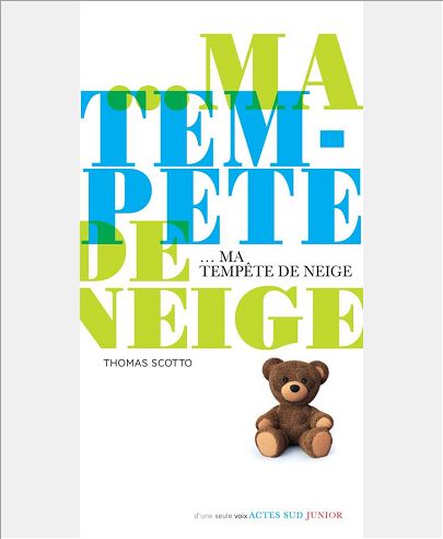 MA TEMPETE DE NEIGE