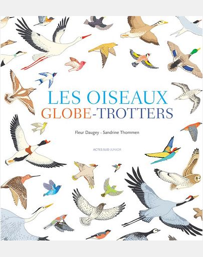 LES OISEAUX GLOBE-TROTTERS