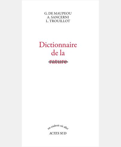 DICTIONNAIRE DE LA RATURE