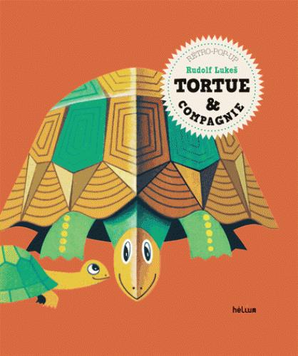 TORTUE & COMPAGNIE
