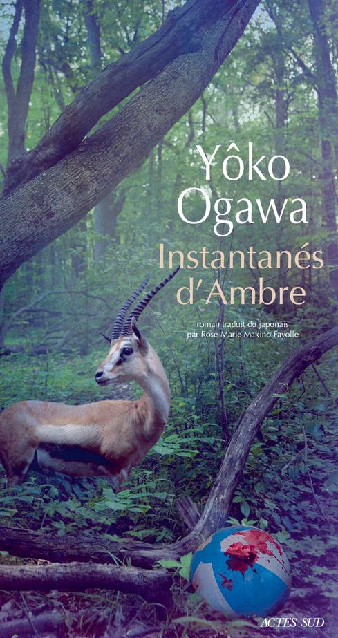 INSTANTANES D'AMBRE