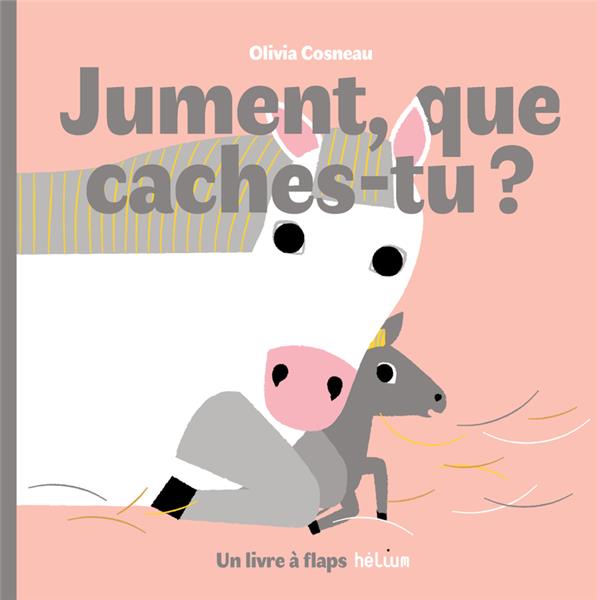 JUMENT, QUE CACHES-TU ?