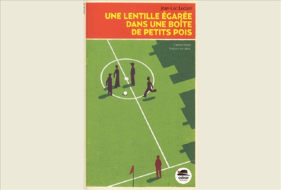 LENTILLE EGAREE DANS BOITE DE PETIT POIS