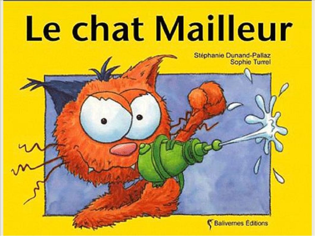 LE CHAT MAILLEUR