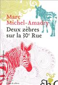 DEUX ZEBRES SUR LA 30E RUE