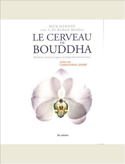 CERVEAU DE BOUDDHA