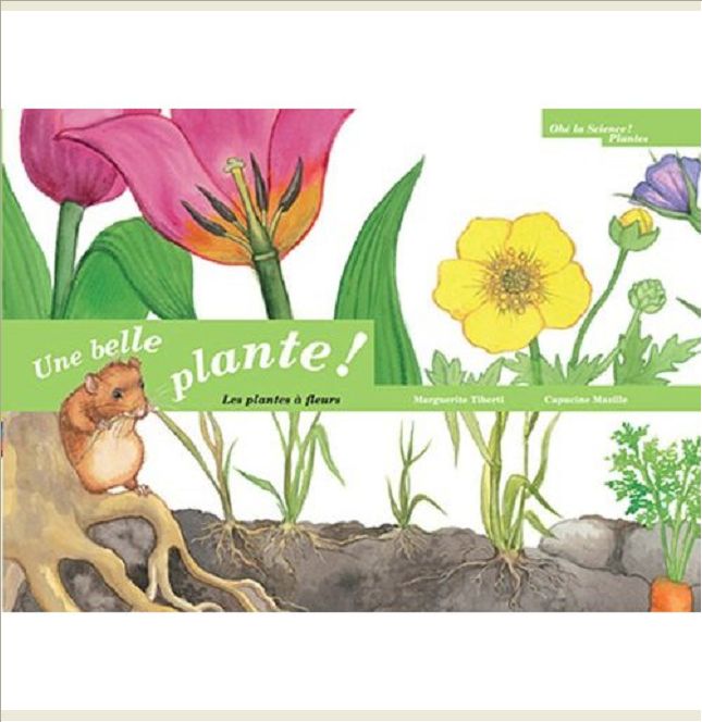 BELLE PLANTE (UNE)