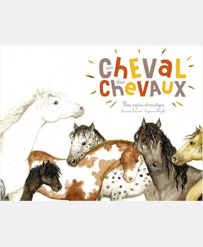 UN CHEVAL, DES CHEVAUX