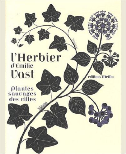 L'HERBIER  - PLANTES SAUVAGES DES VILLES