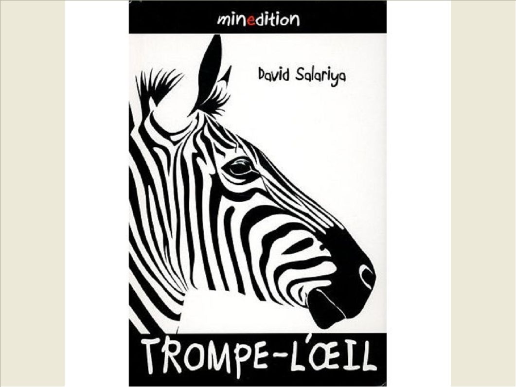 TROMPE L OEIL