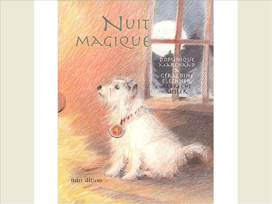 NUIT MAGIQUE - MINI