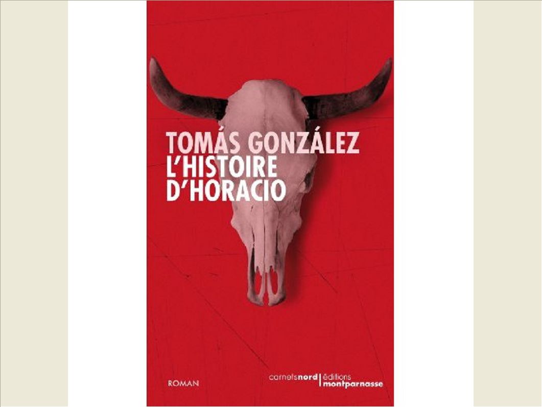 L HISTOIRE D HORACIO