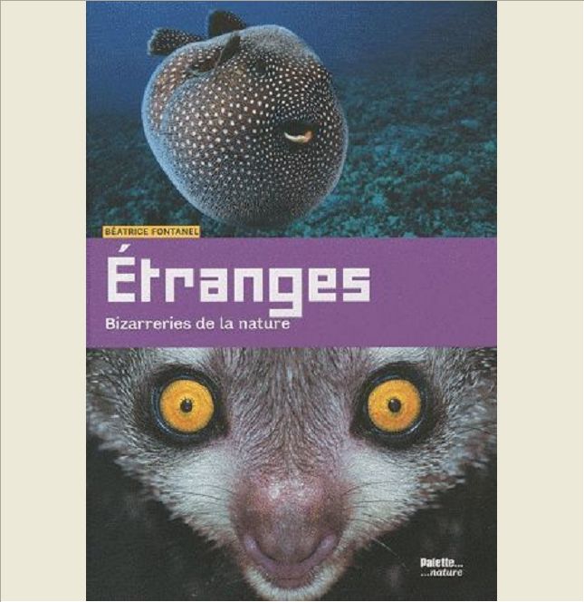 ETRANGES
