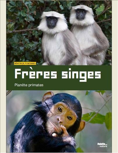FRERES SINGES