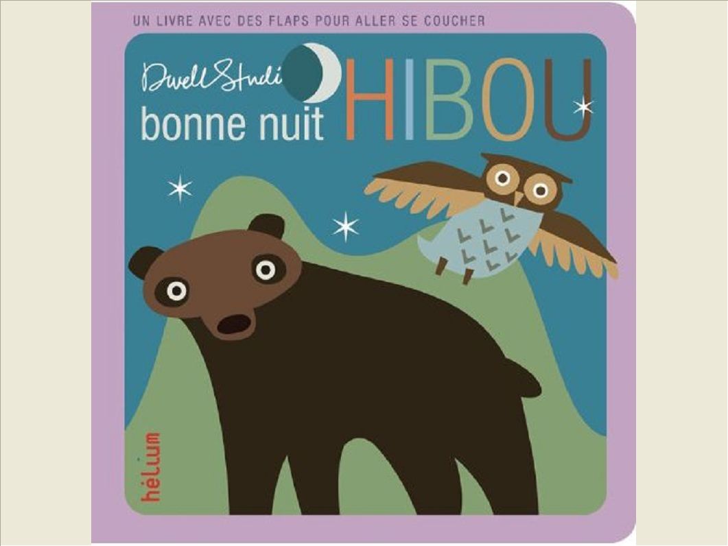 BONNE NUIT HIBOU - UN LIVRE AVEC DES FLAPS POUR ALLER SE COUCHER