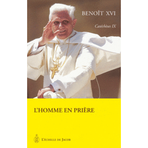 CATECHESES TOME VIII LES DOCTEURS DE L'EGLISE