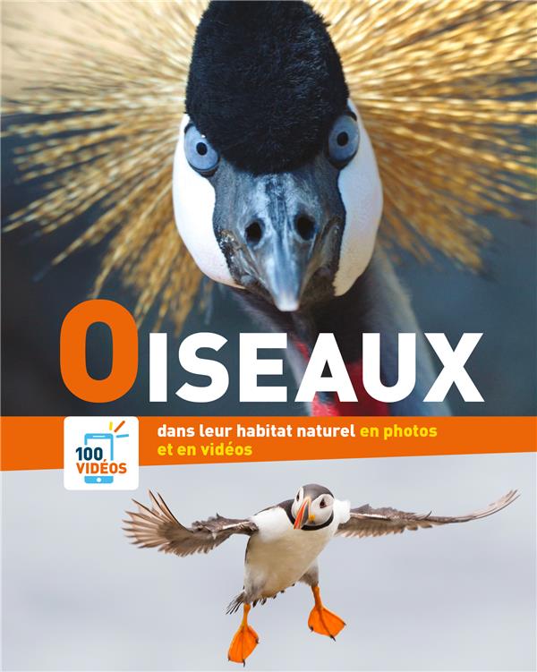 OISEAUX (COLL. EN PHOTOS ET EN VIDEOS)