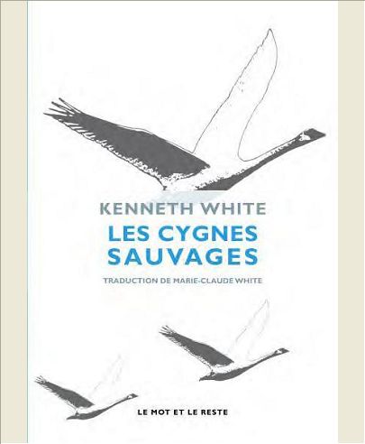 LES CYGNES SAUVAGES
