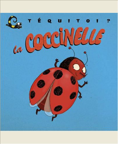 TEQUITOI LA COCCINELLE