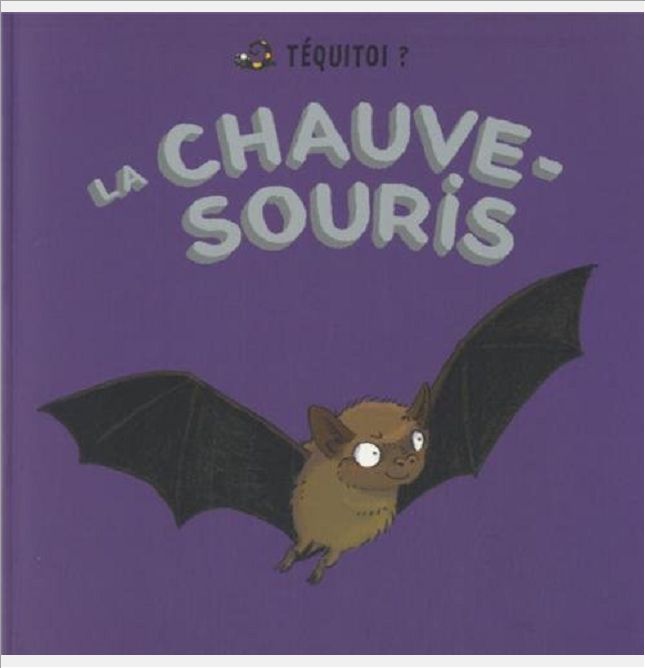 TEQUITOI ? LA CHAUVE-SOURIS